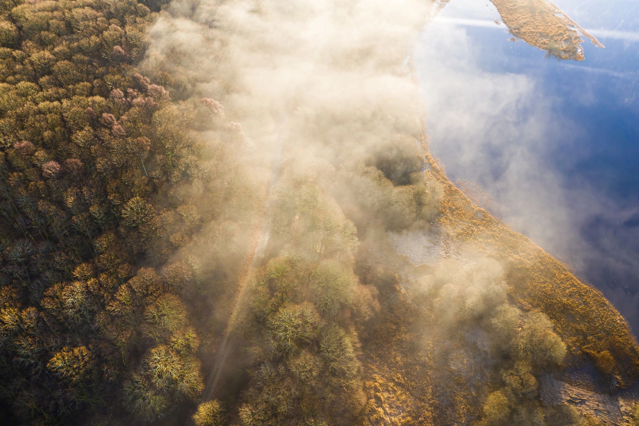 Gentle river mist at dawn (no people)