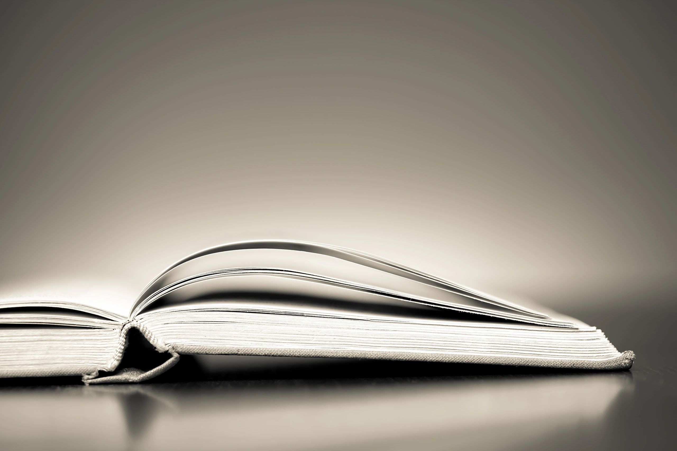 Open book pages in soft light (symbolic Scripture)